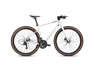 Gravel Bike