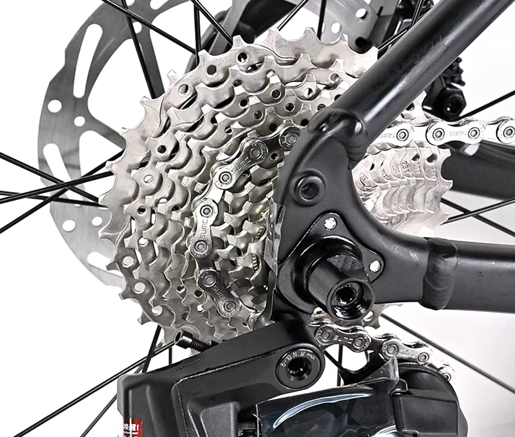 SUNSHINE-12 speed, 11-32T