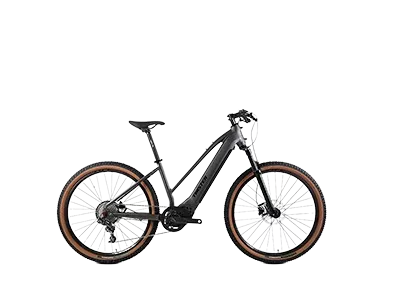 E-Bike