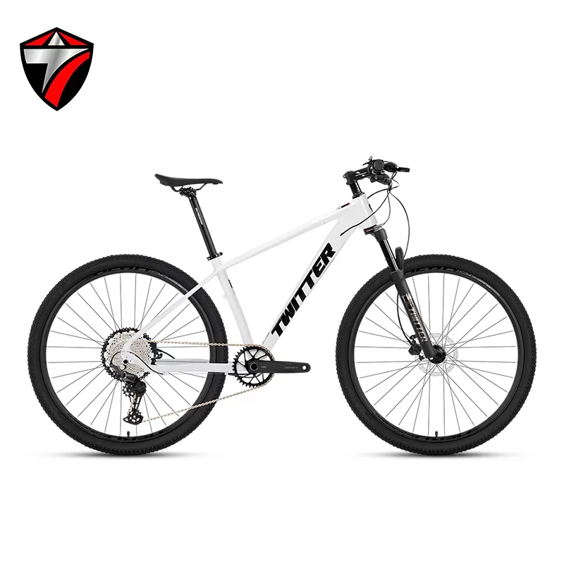Aluminum Bike