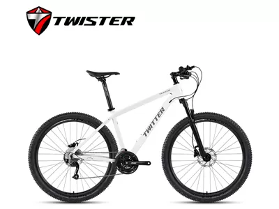 TW3900XC (M2010-27s)