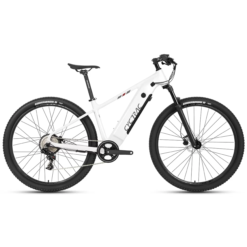 E300 -2rd  Bafang Torque-48V500W13A