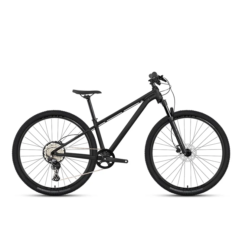 GTR (SP)  mountain bike