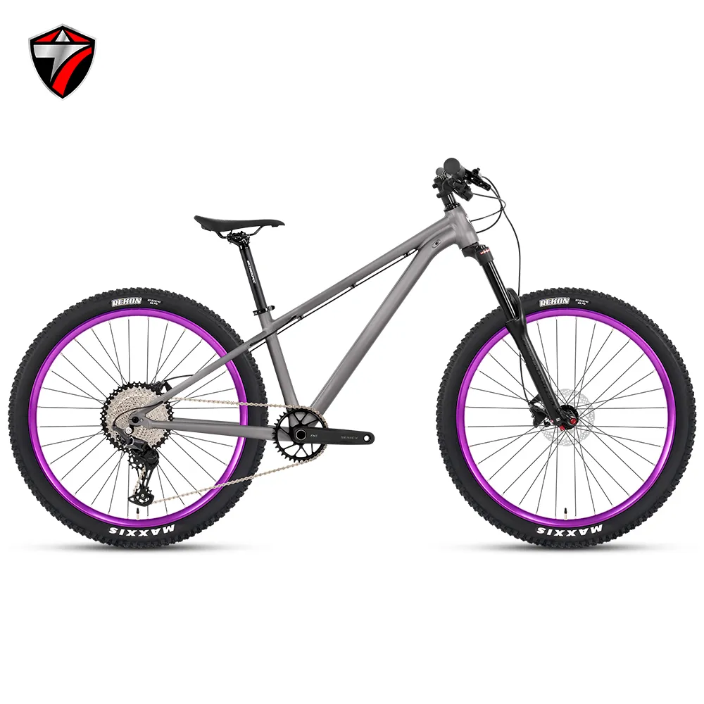 GTR ( Dirt Jump level )